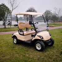 Mini   electric  golf cart For 2019